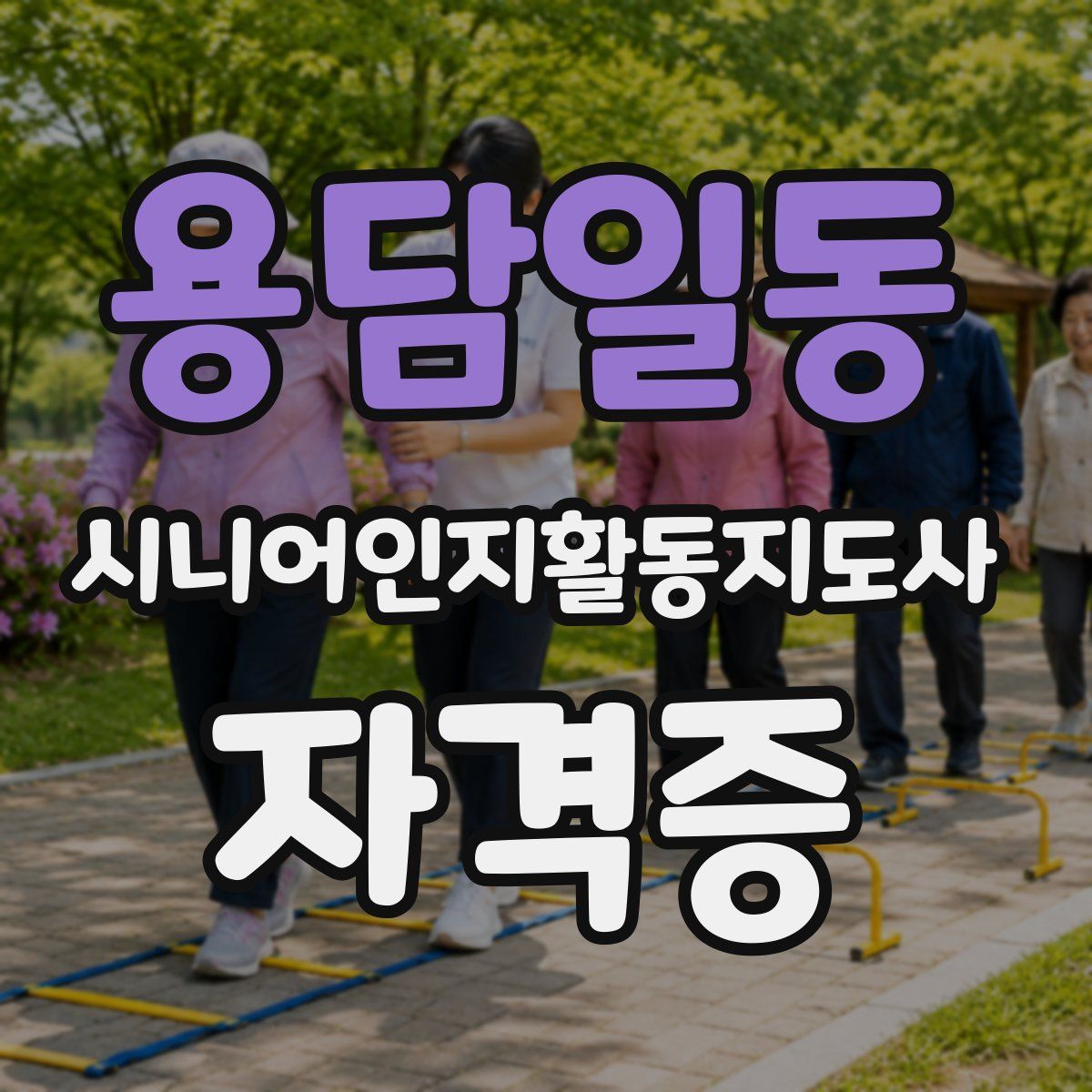용담일동 시니어인지활동지도사 자격증