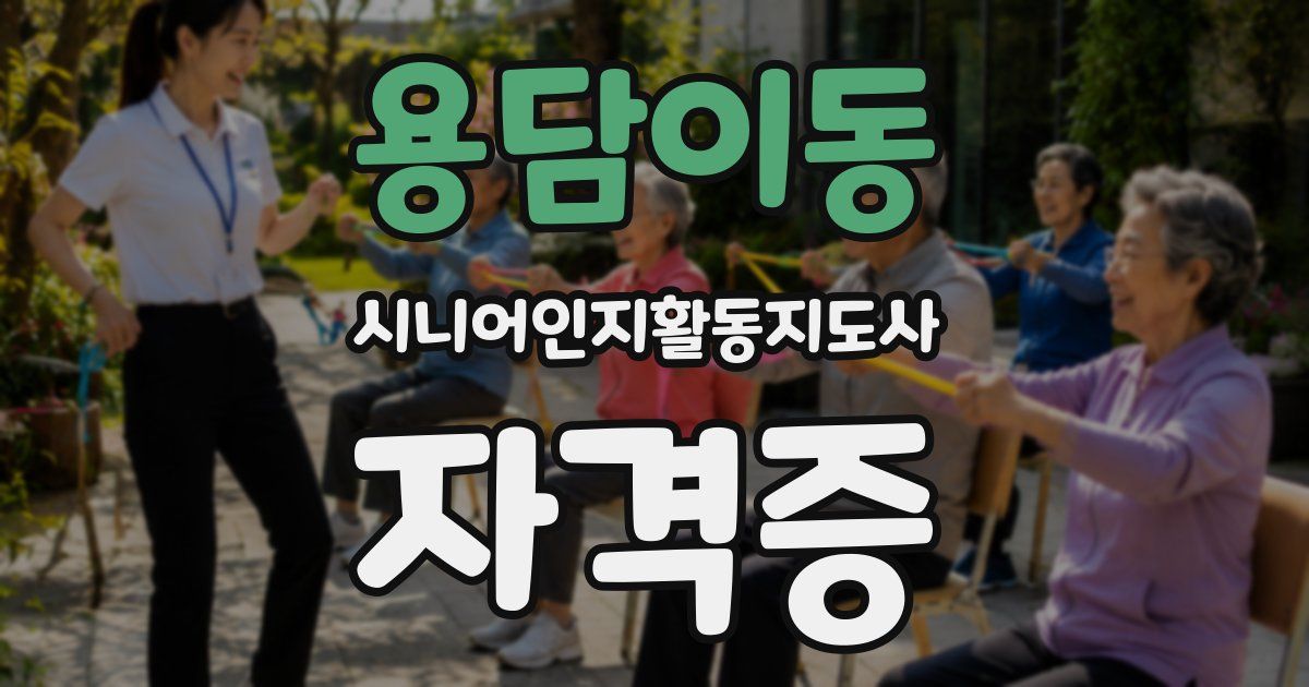 용담이동 시니어인지활동지도사 자격증