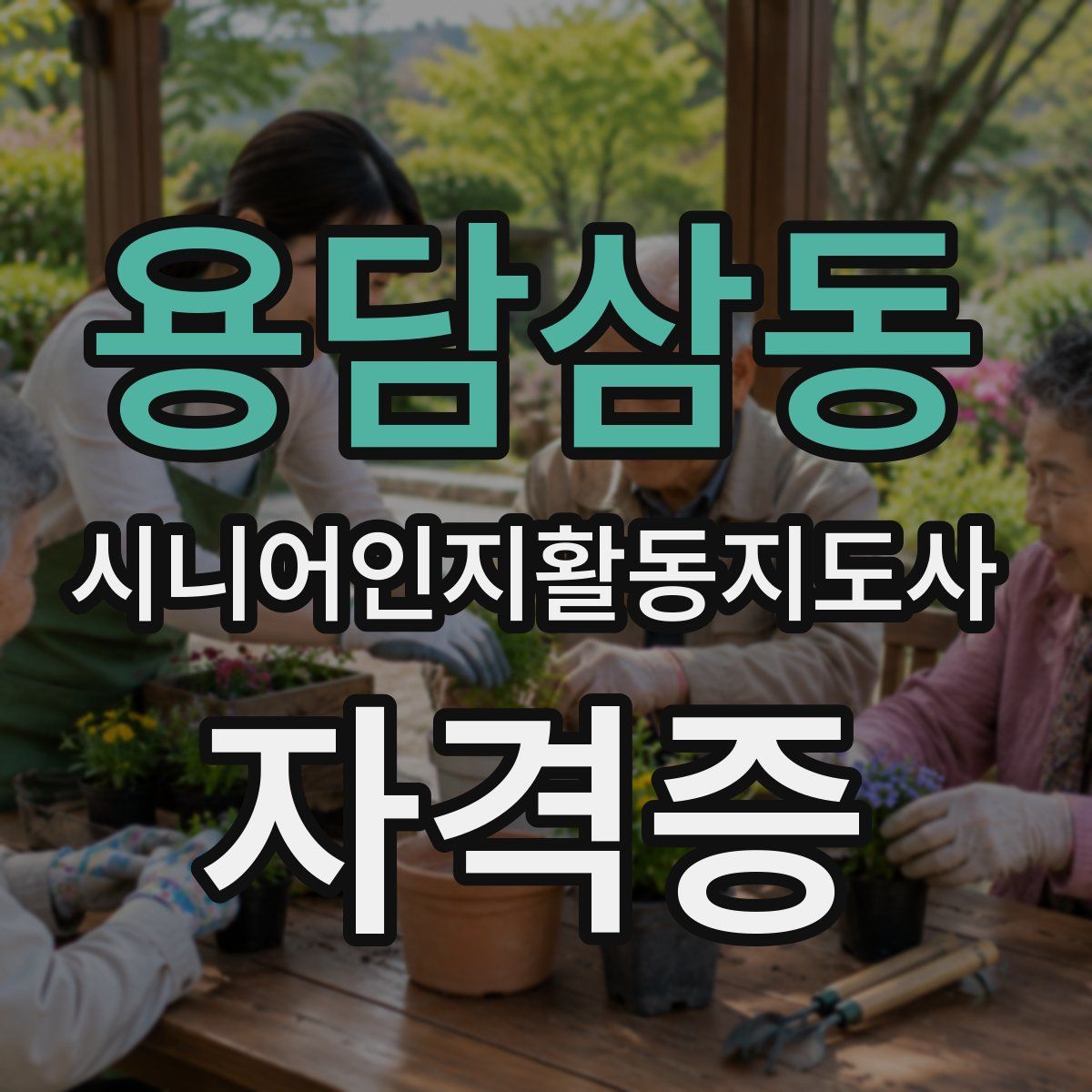 용담삼동 시니어인지활동지도사 자격증