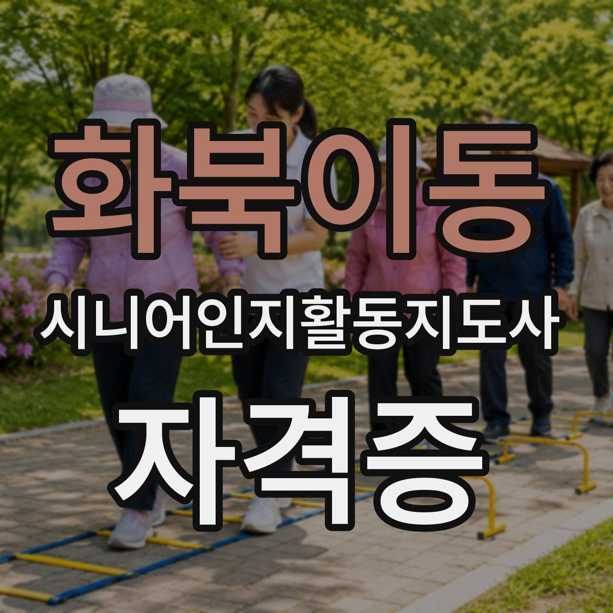 화북이동 시니어인지활동지도사 자격증