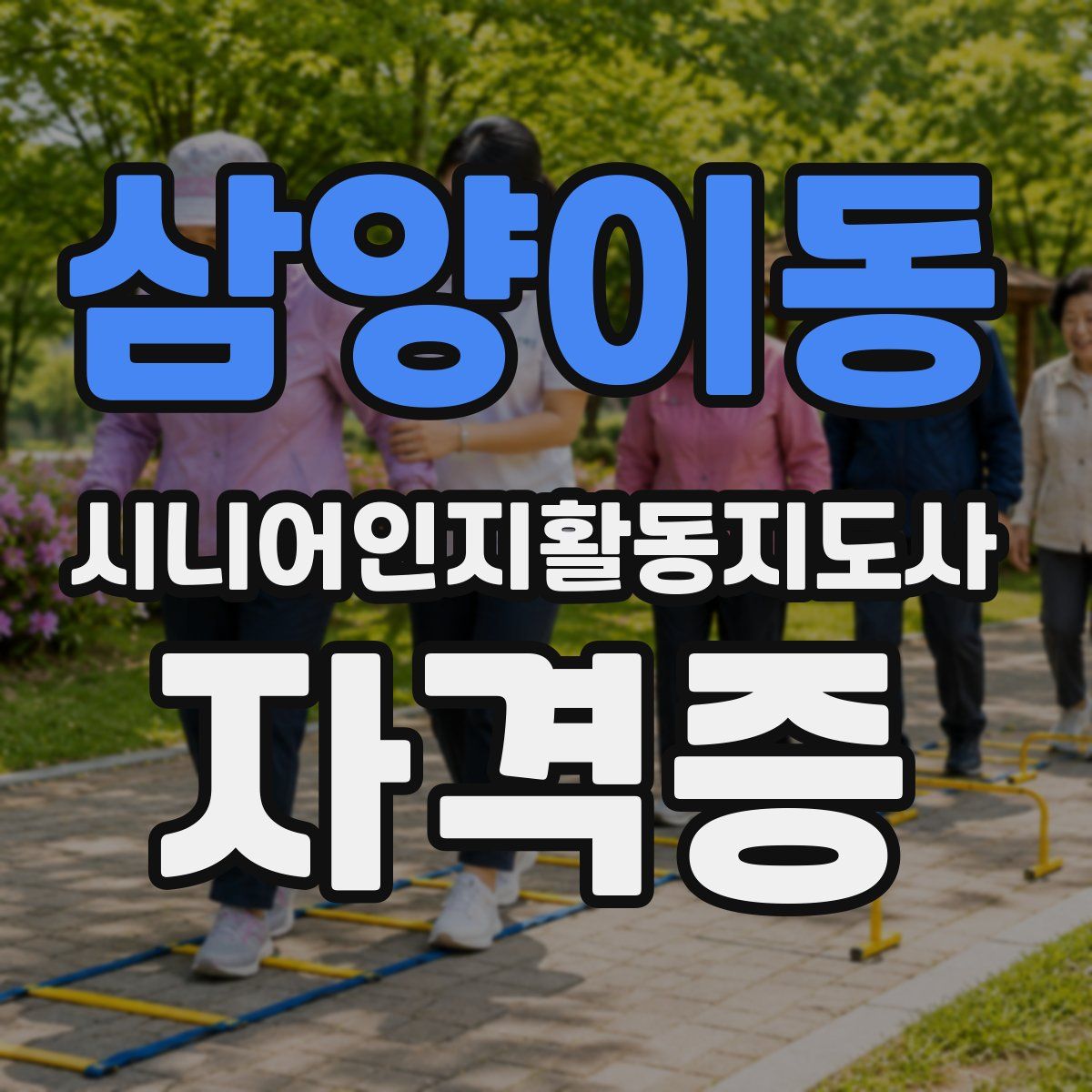 삼양이동 시니어인지활동지도사 자격증