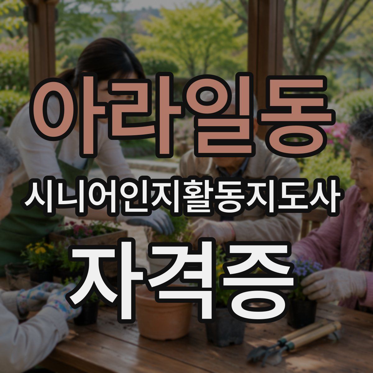 아라일동 시니어인지활동지도사 자격증