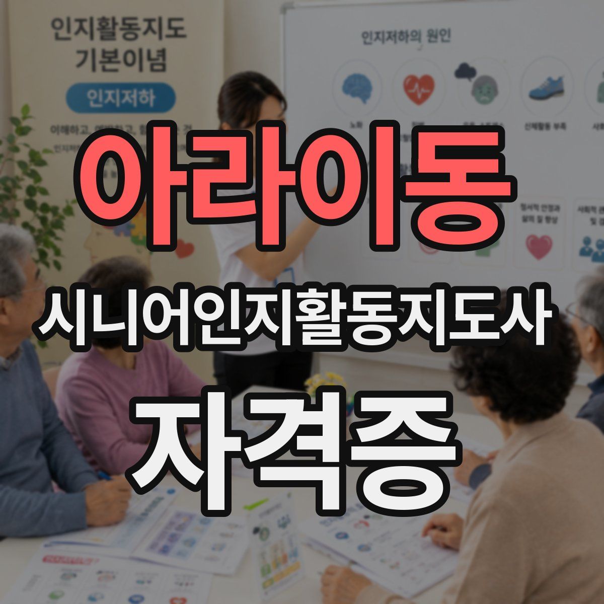 아라이동 시니어인지활동지도사 자격증