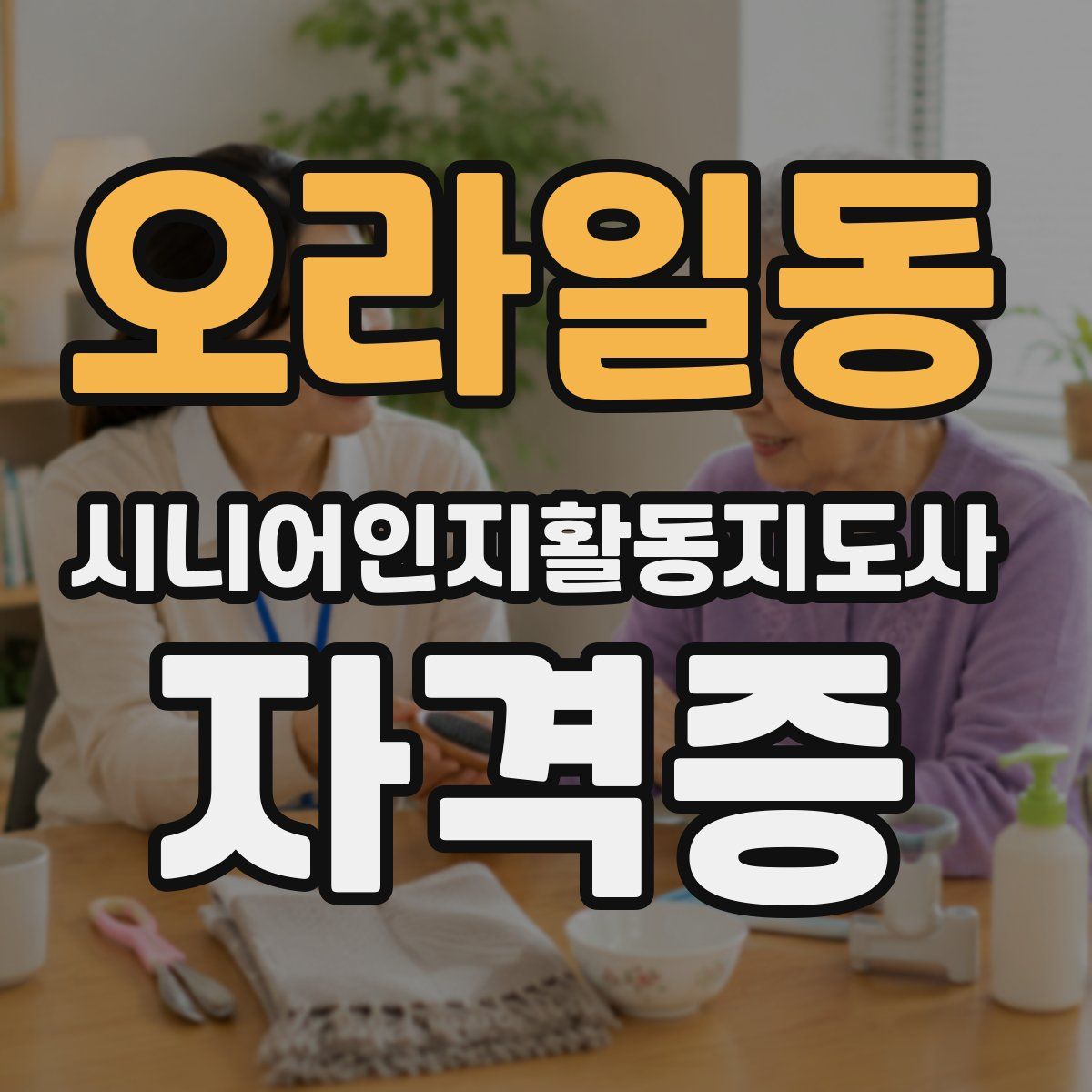 오라일동 시니어인지활동지도사 자격증