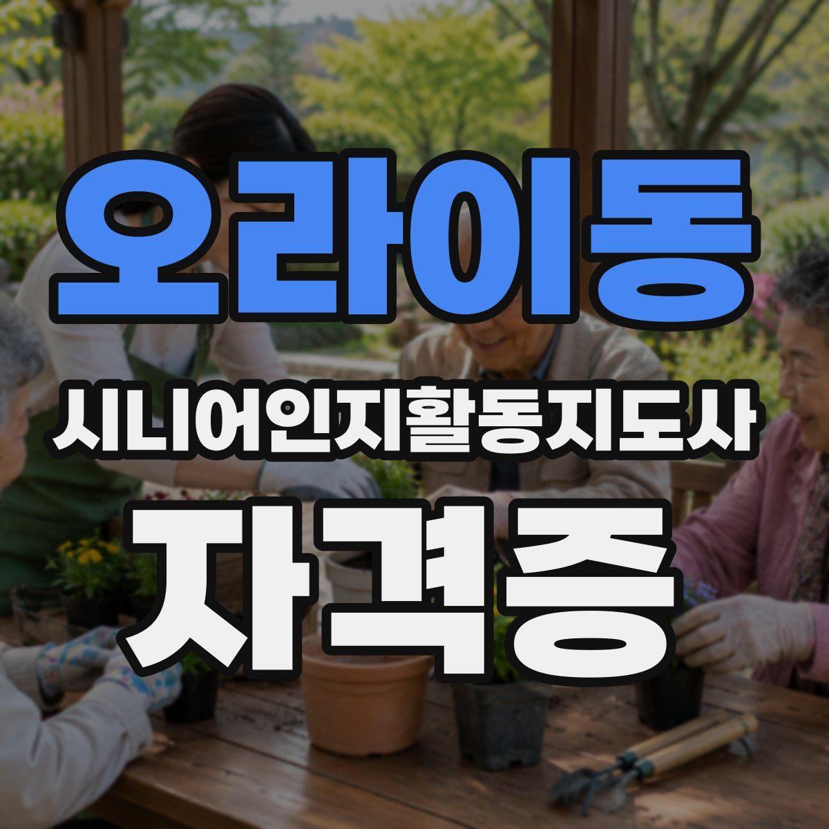 오라이동 시니어인지활동지도사 자격증