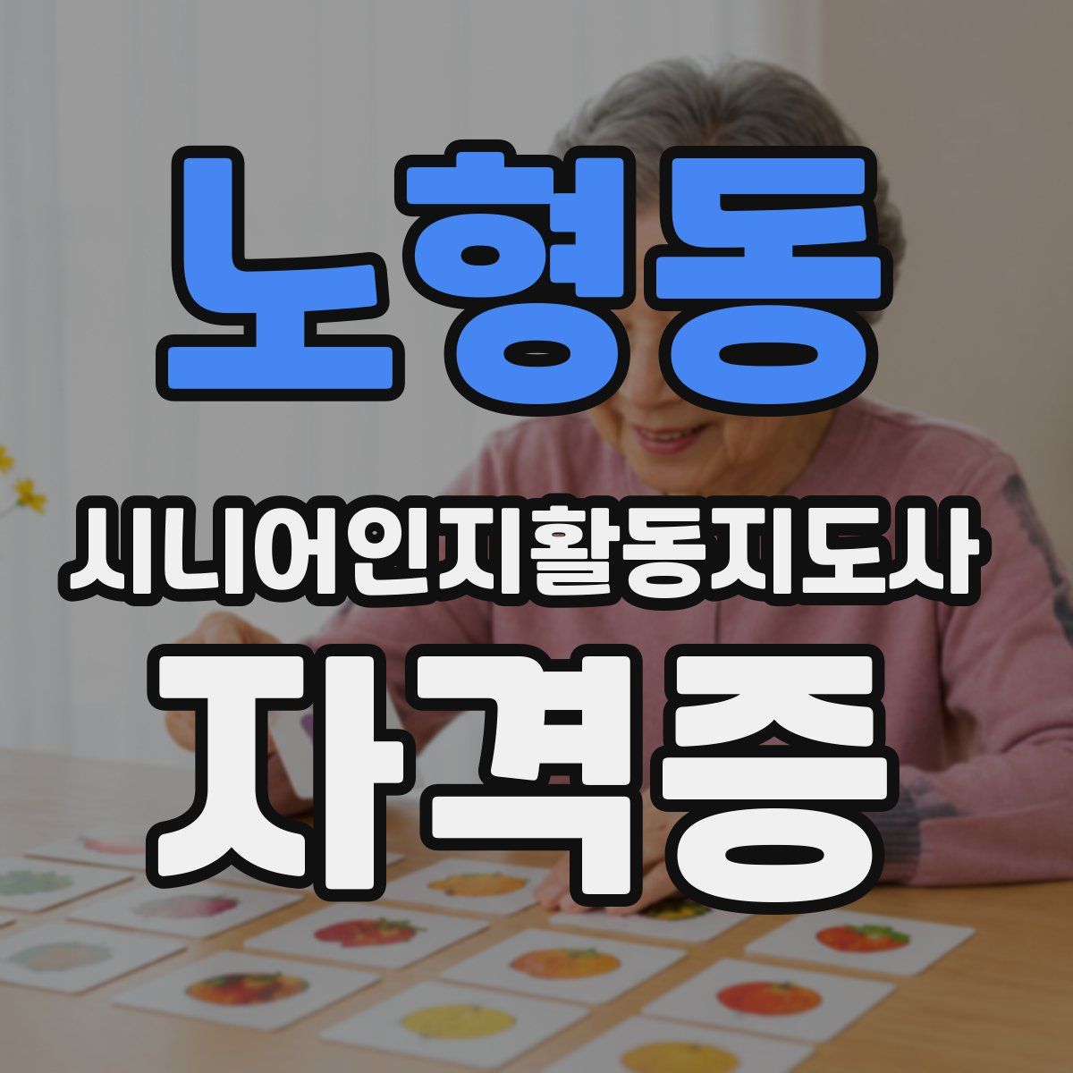 노형동 시니어인지활동지도사 자격증