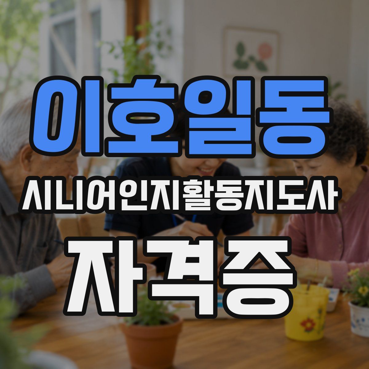 이호일동 시니어인지활동지도사 자격증