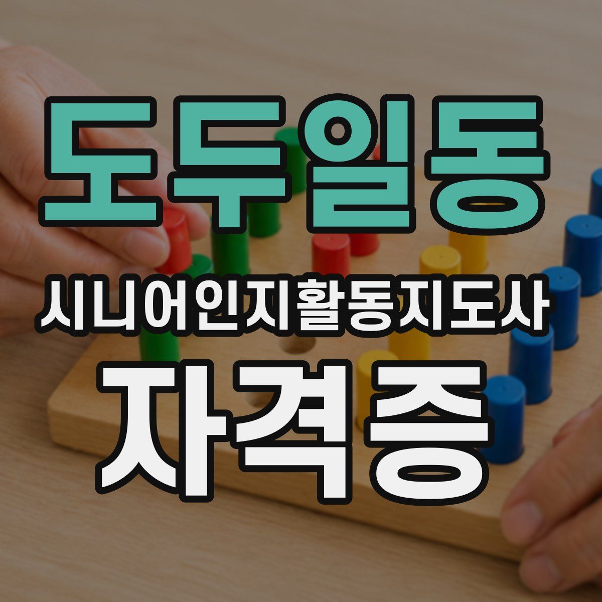도두일동 시니어인지활동지도사 자격증