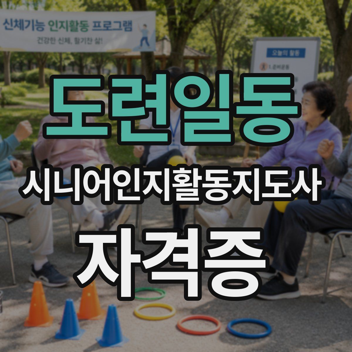 도련일동 시니어인지활동지도사 자격증