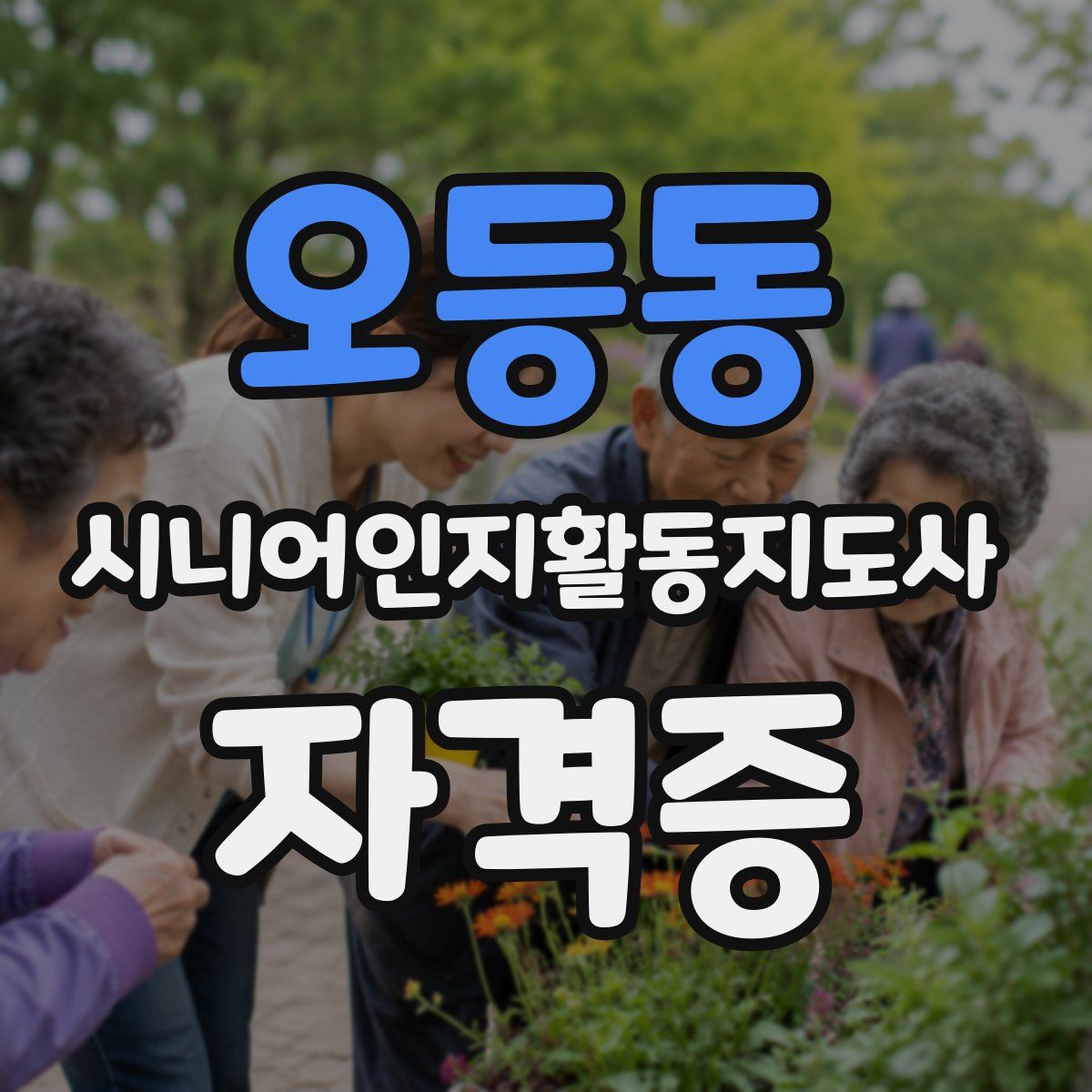 오등동 시니어인지활동지도사 자격증