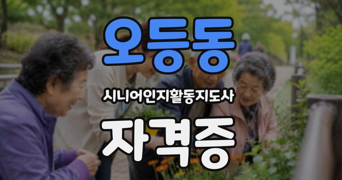 오등동 시니어인지활동지도사 자격증