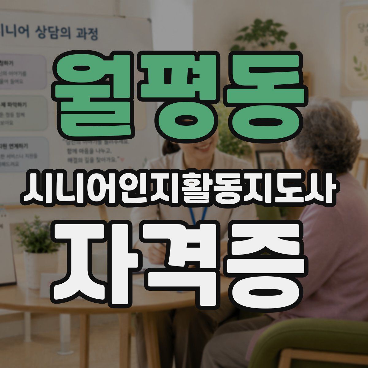 월평동 시니어인지활동지도사 자격증