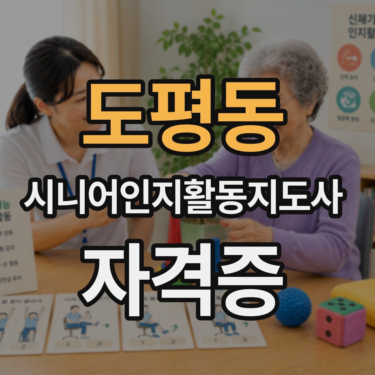 도평동 시니어인지활동지도사 자격증