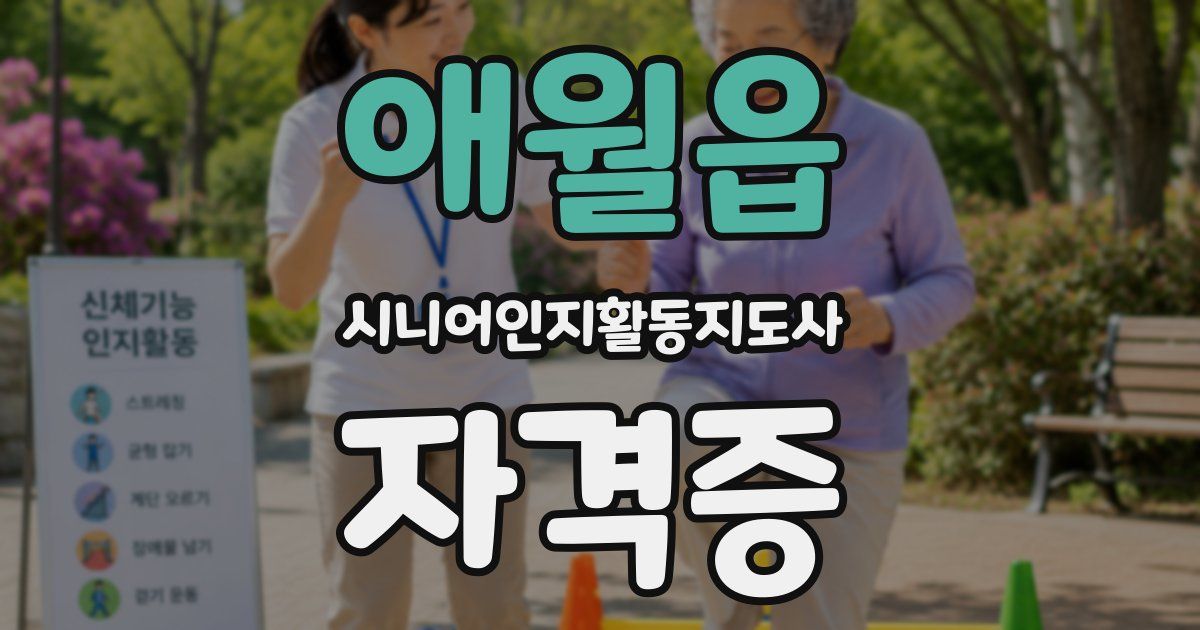 애월읍 시니어인지활동지도사 자격증