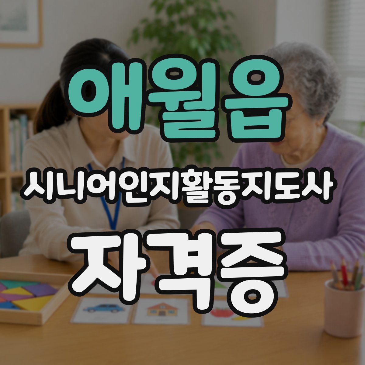 애월읍 시니어인지활동지도사 자격증