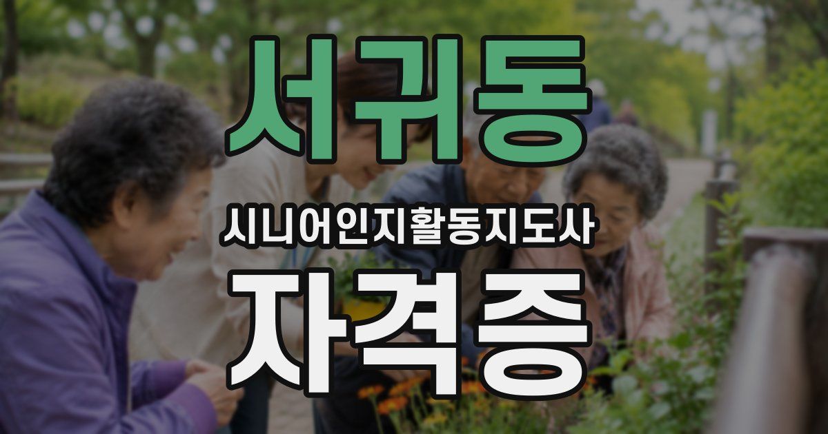 서귀동 시니어인지활동지도사 자격증