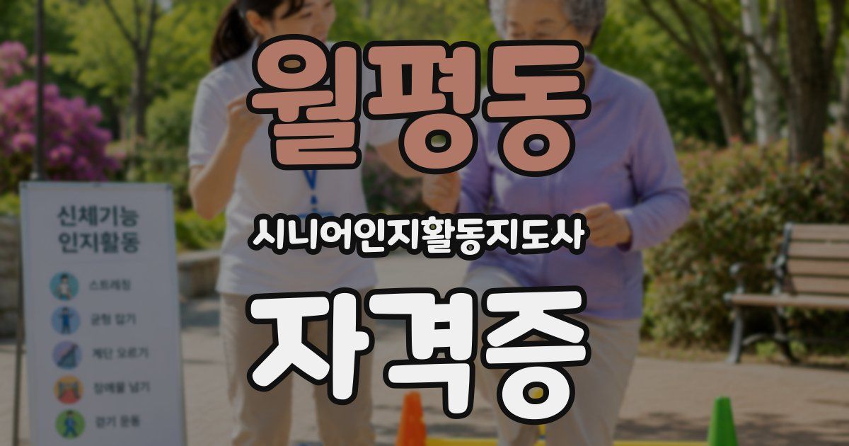 월평동 시니어인지활동지도사 자격증