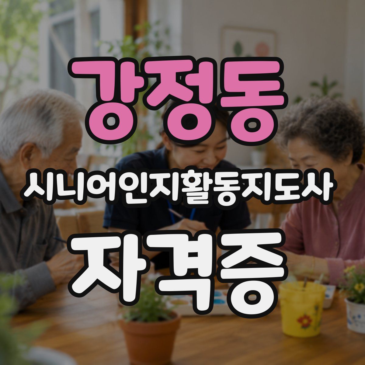 강정동 시니어인지활동지도사 자격증