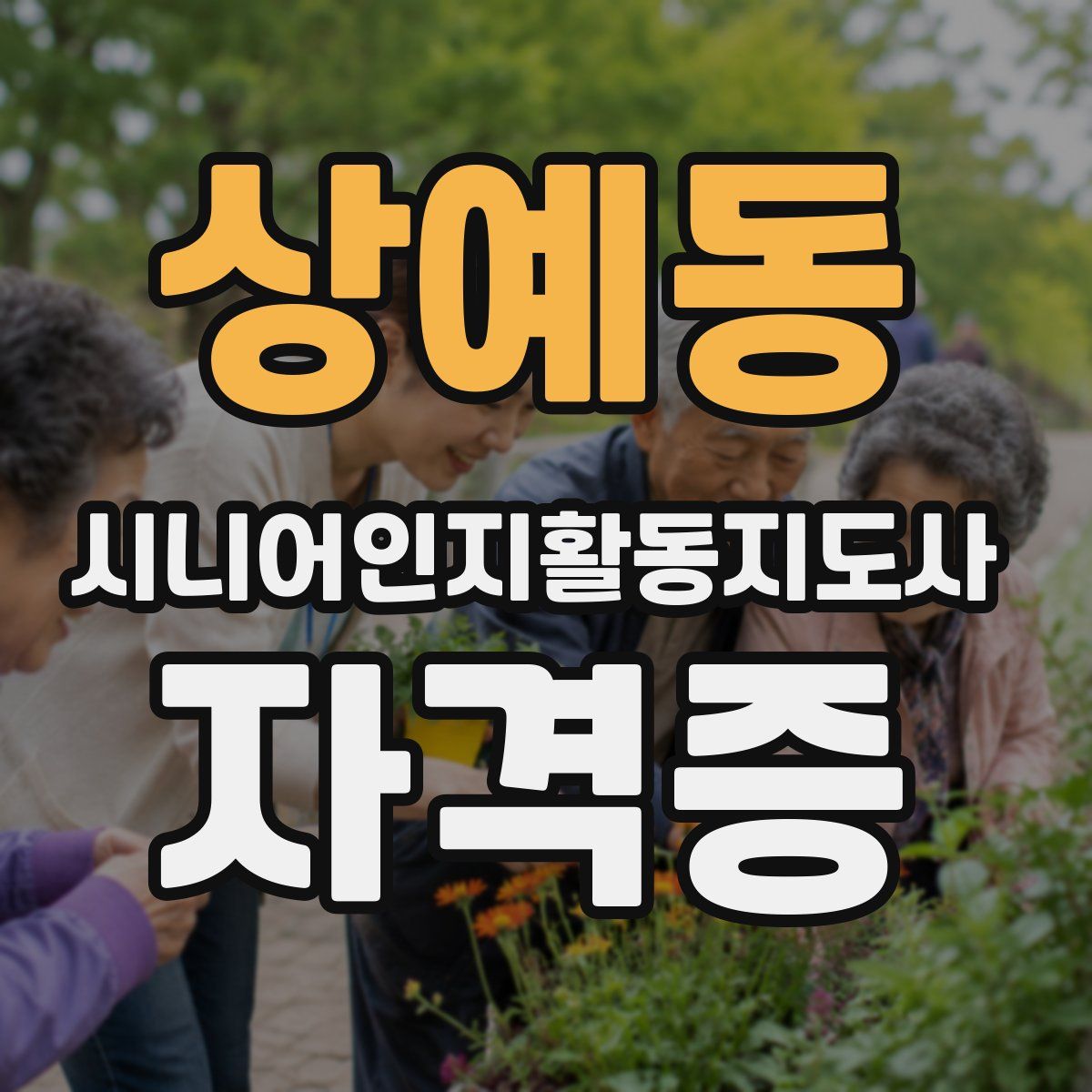 상예동 시니어인지활동지도사 자격증