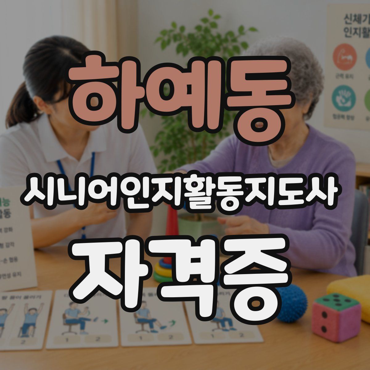 하예동 시니어인지활동지도사 자격증