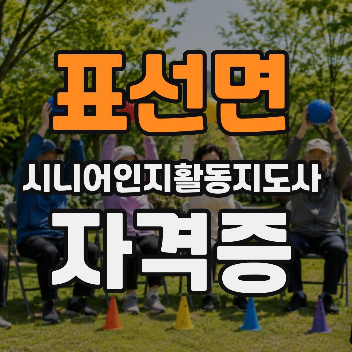 표선면 시니어인지활동지도사 자격증