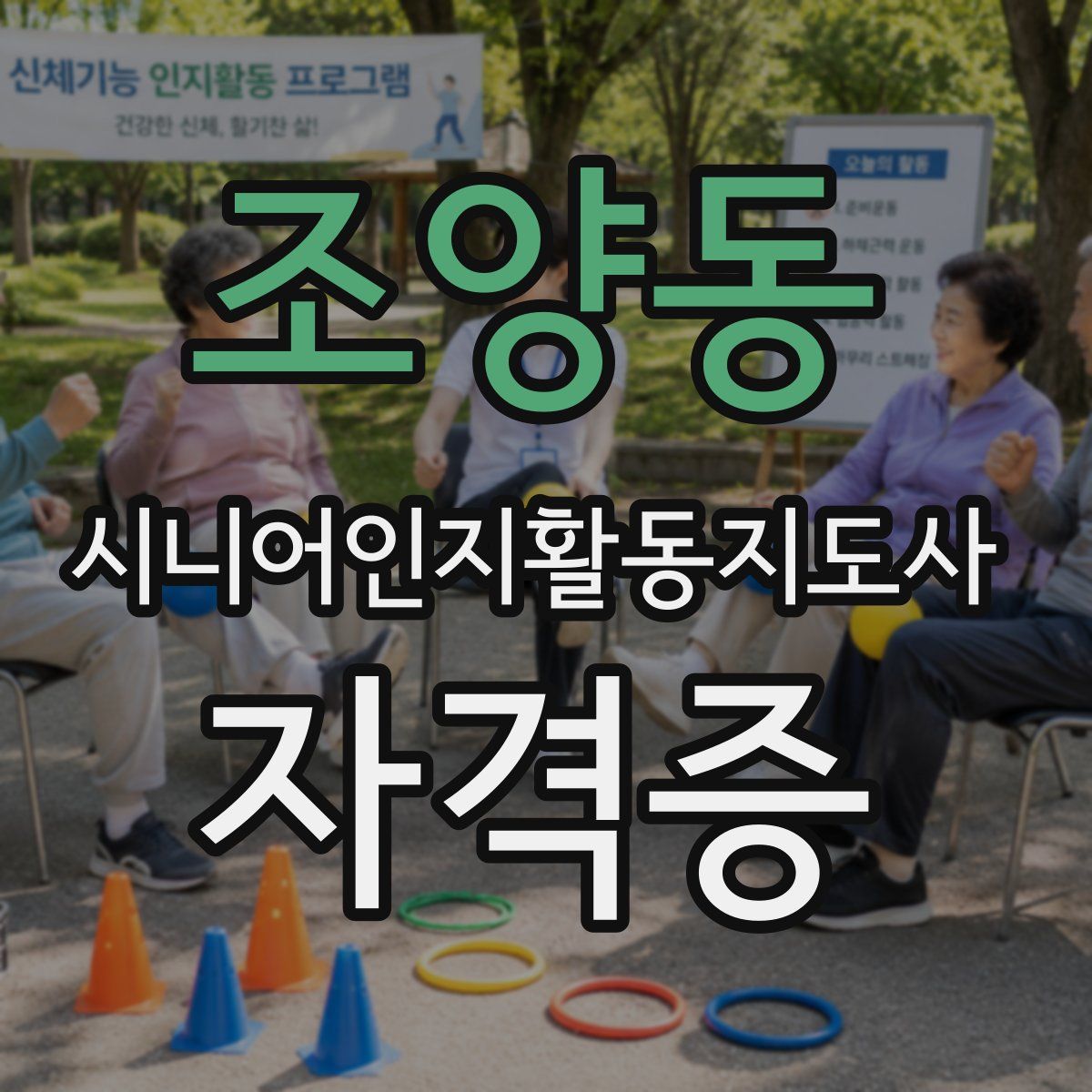 조양동 시니어인지활동지도사 자격증