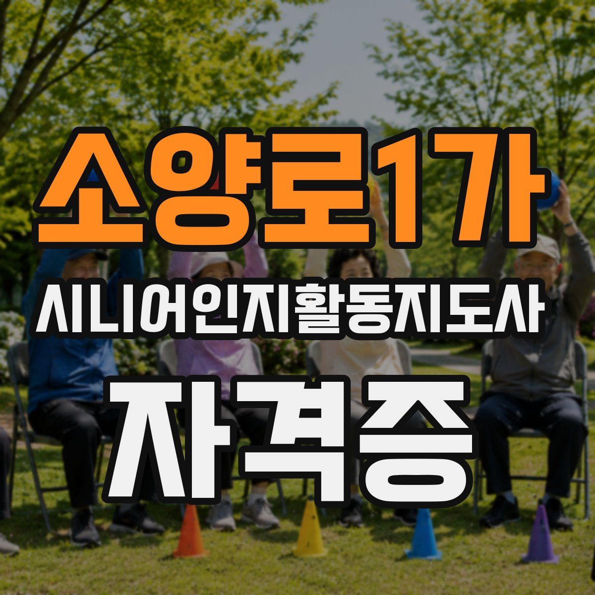 소양로1가 시니어인지활동지도사 자격증
