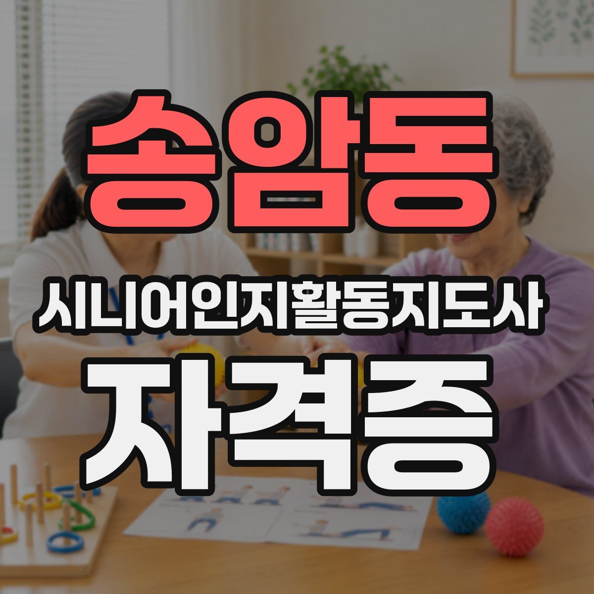 송암동 시니어인지활동지도사 자격증