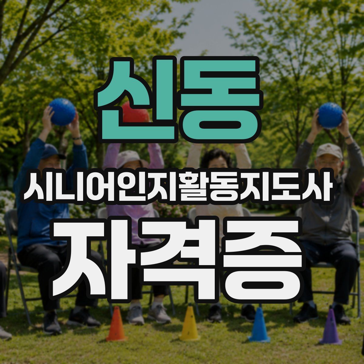신동 시니어인지활동지도사 자격증