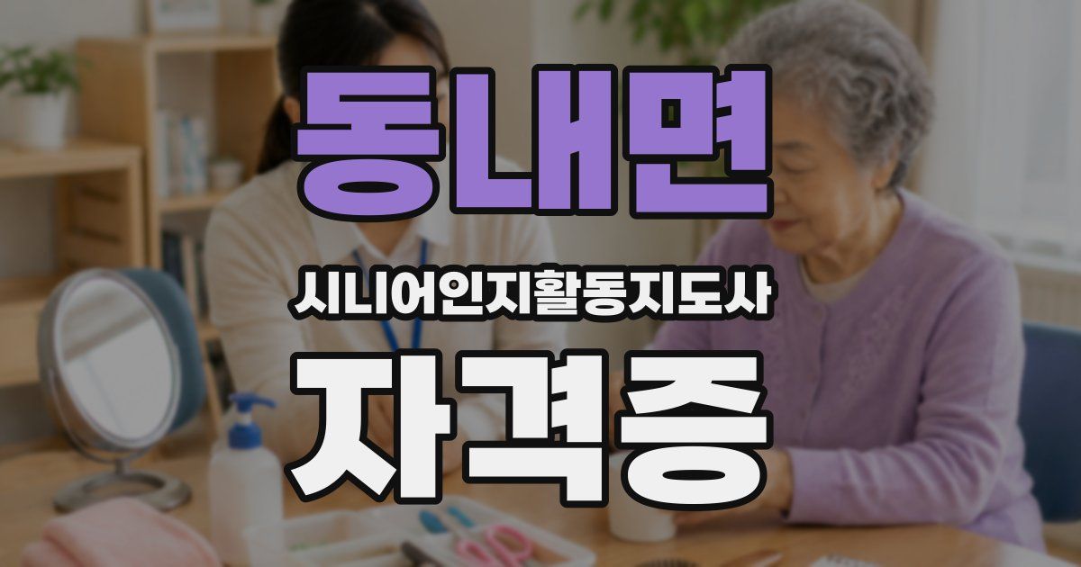 동내면 시니어인지활동지도사 자격증