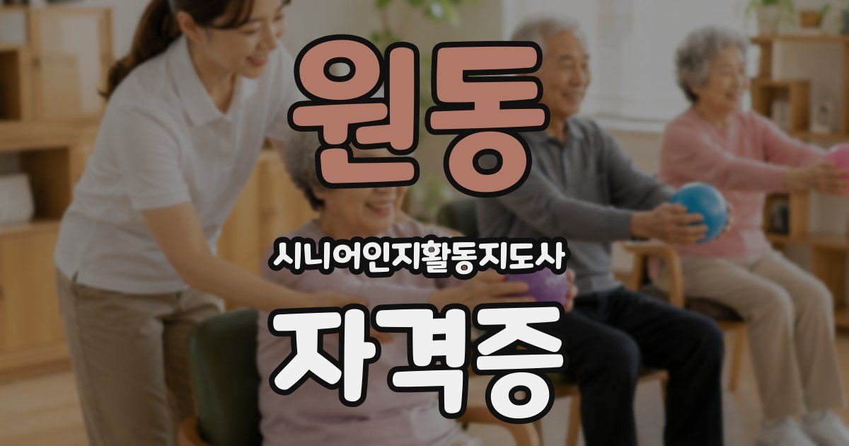 원동 시니어인지활동지도사 자격증