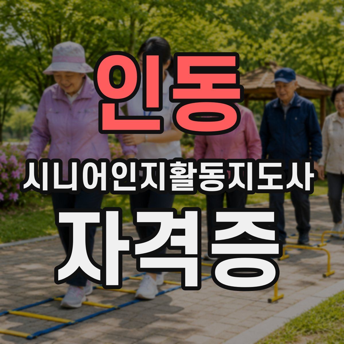 인동 시니어인지활동지도사 자격증