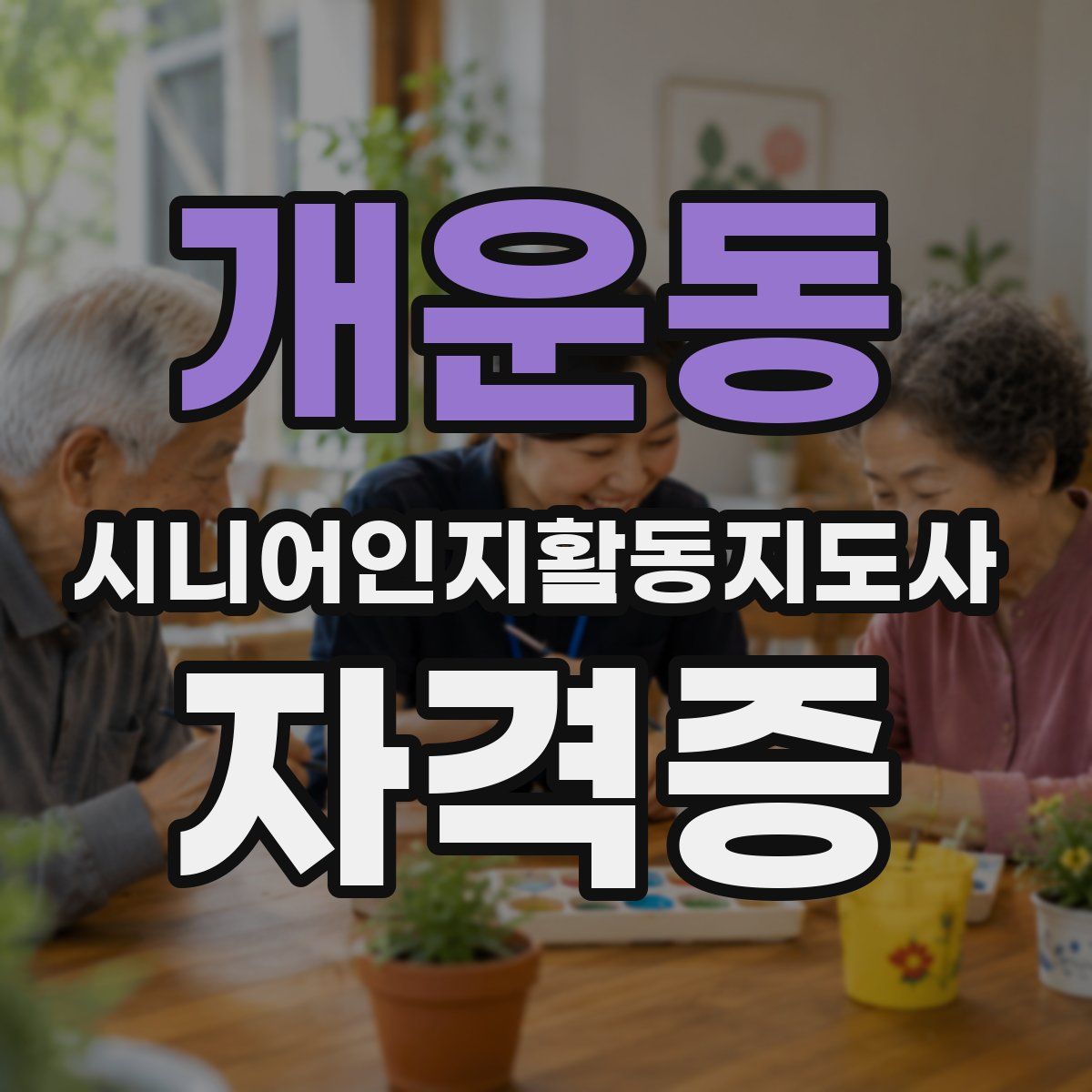 개운동 시니어인지활동지도사 자격증