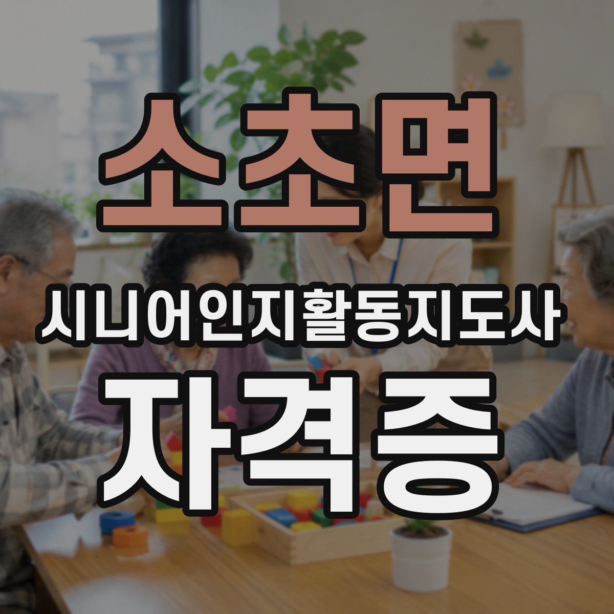 소초면 시니어인지활동지도사 자격증