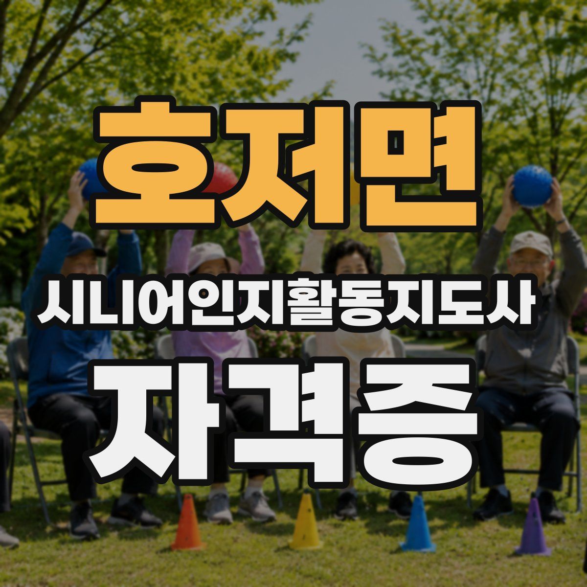호저면 시니어인지활동지도사 자격증