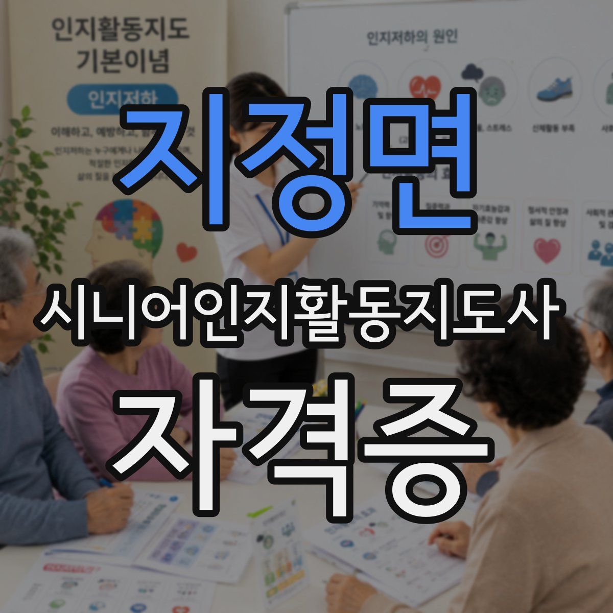 지정면 시니어인지활동지도사 자격증