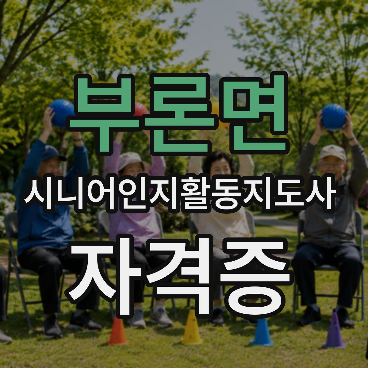 부론면 시니어인지활동지도사 자격증