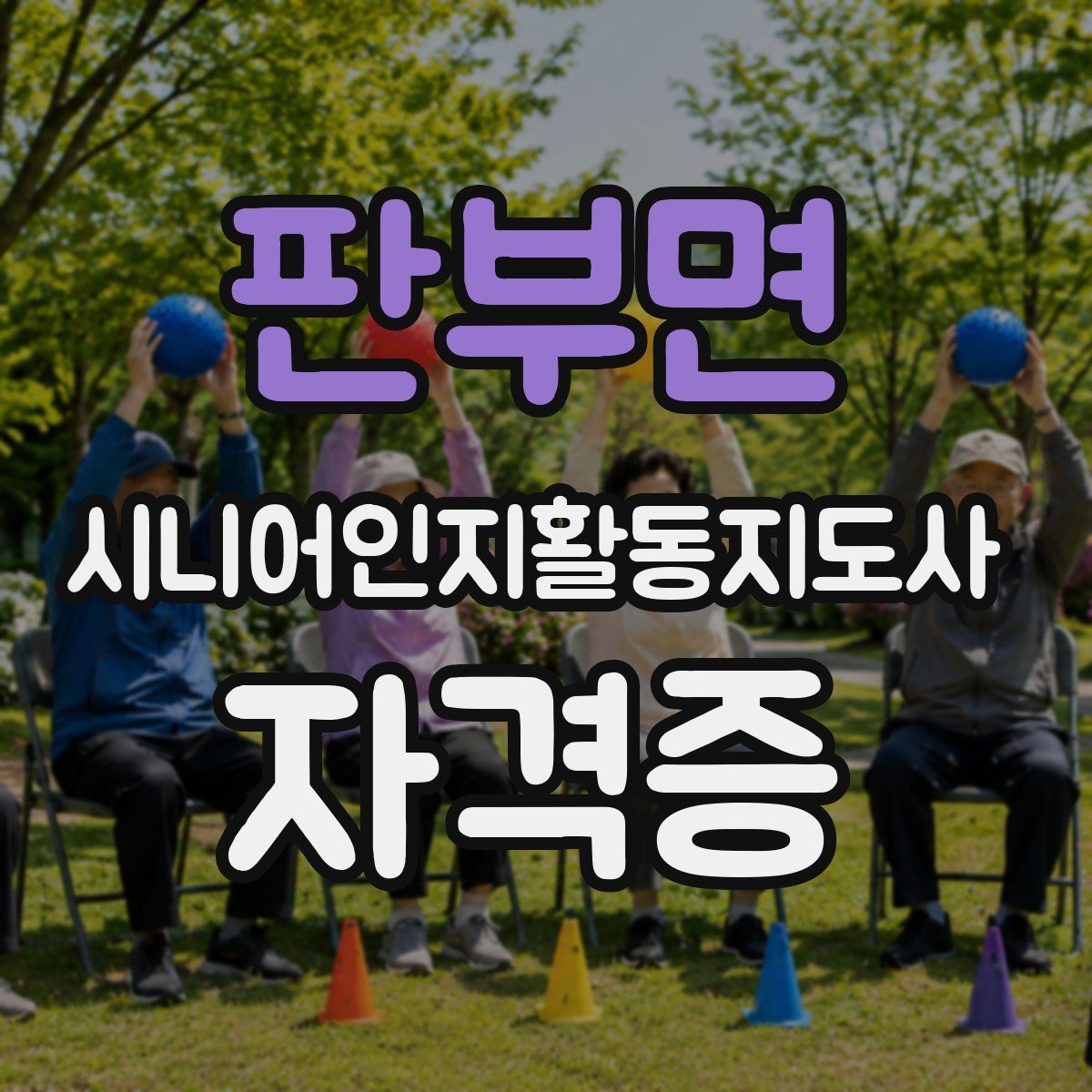 판부면 시니어인지활동지도사 자격증