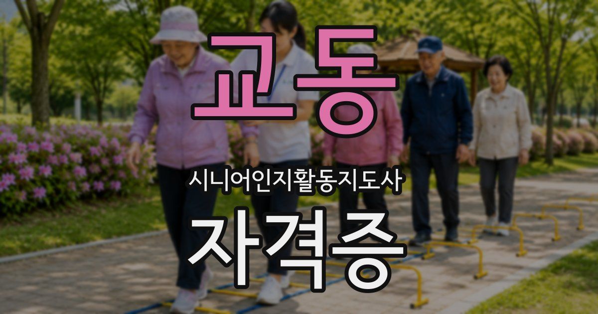 교동 시니어인지활동지도사 자격증