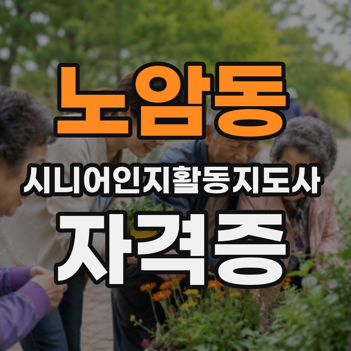 노암동 시니어인지활동지도사 자격증