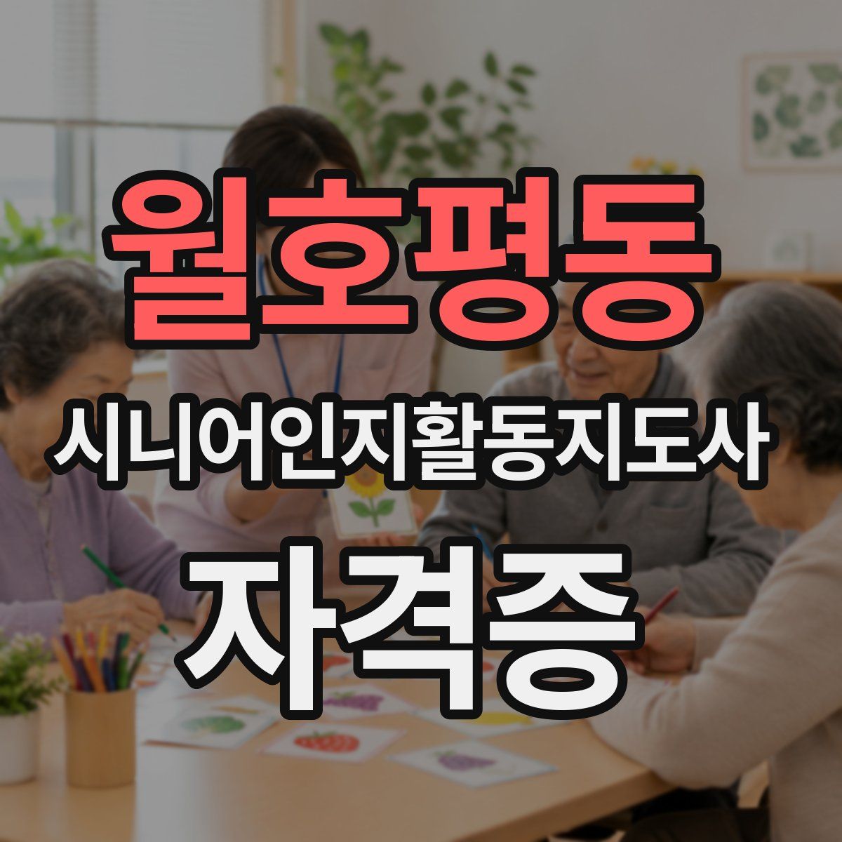 월호평동 시니어인지활동지도사 자격증