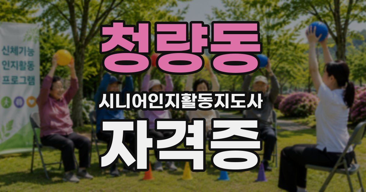 청량동 시니어인지활동지도사 자격증