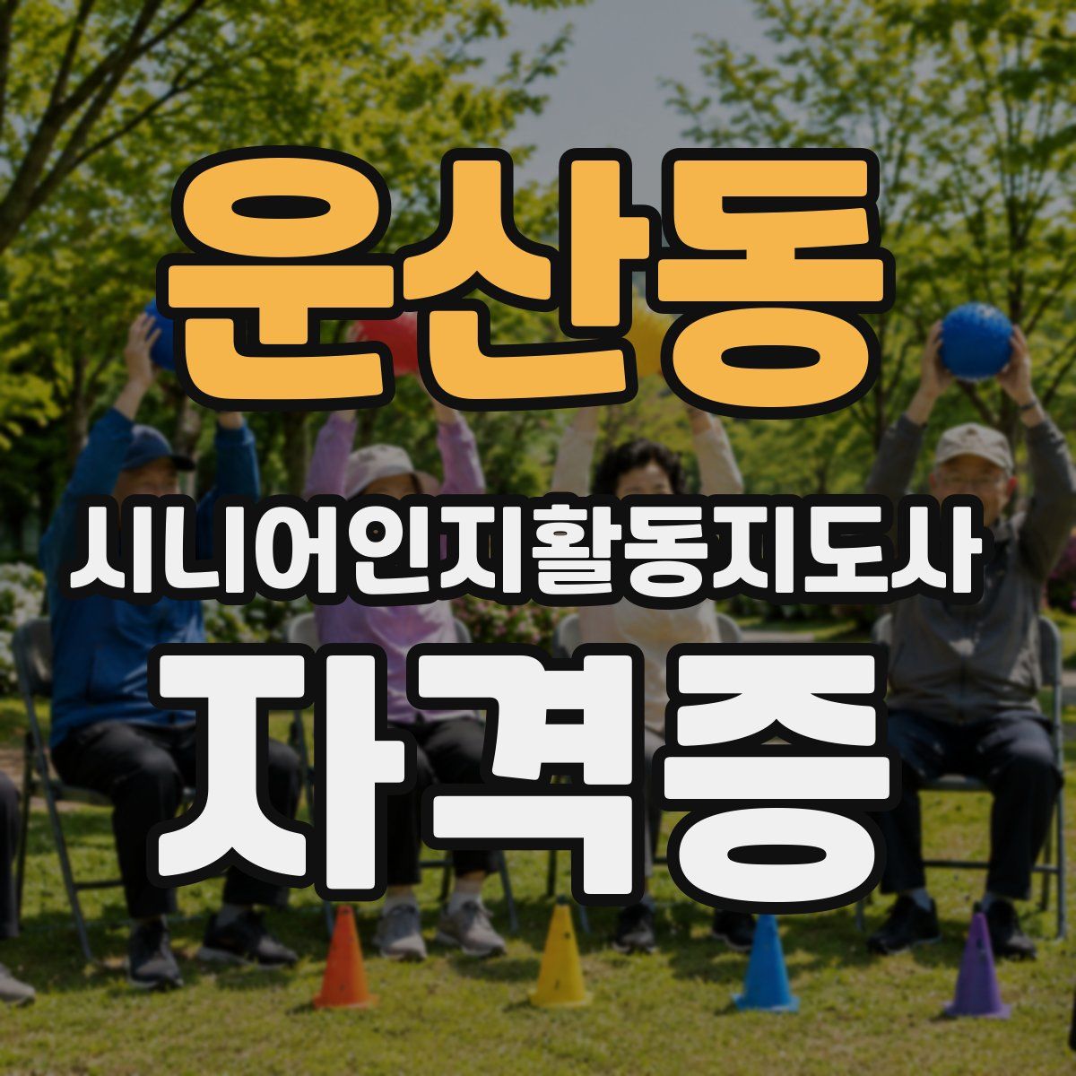 운산동 시니어인지활동지도사 자격증