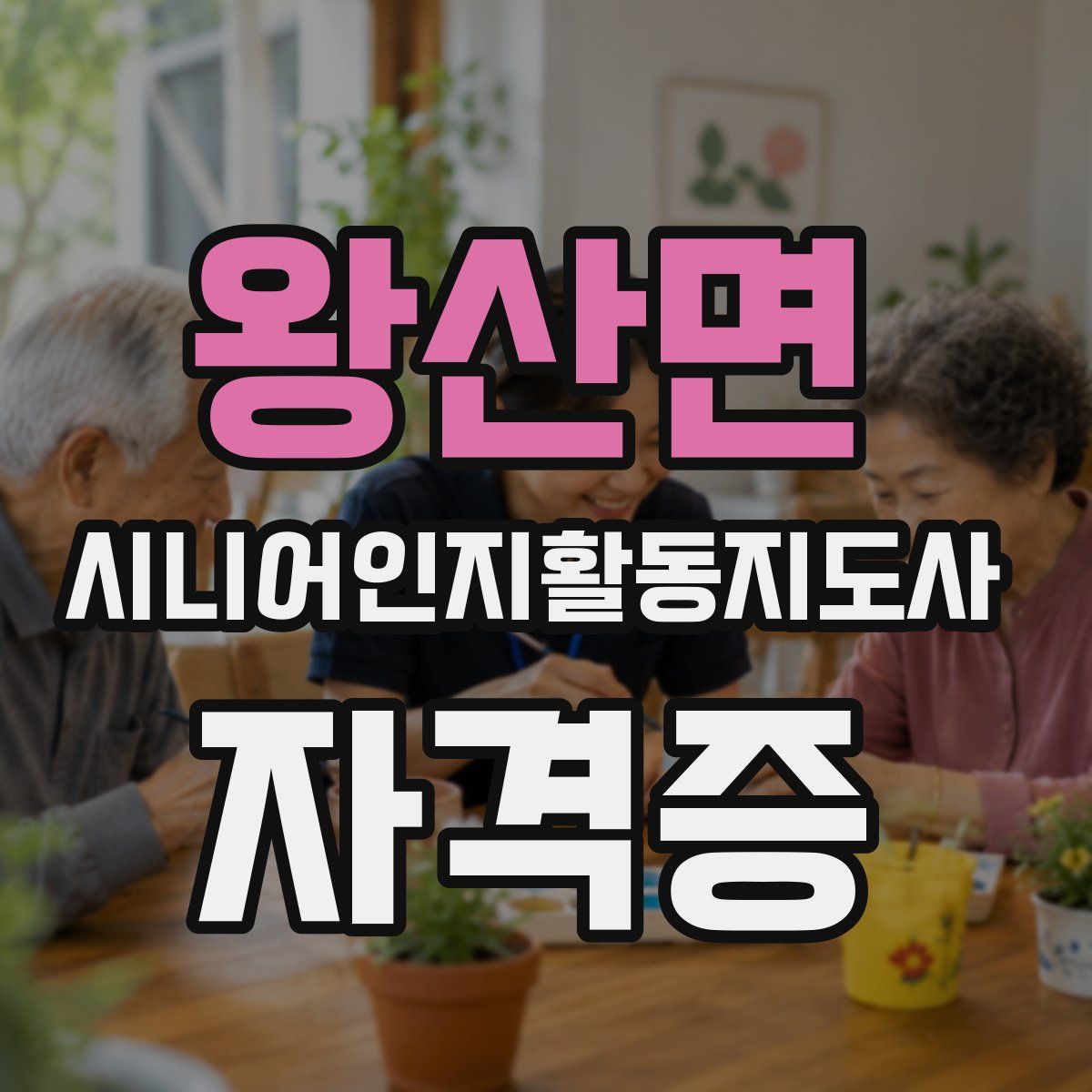 왕산면 시니어인지활동지도사 자격증