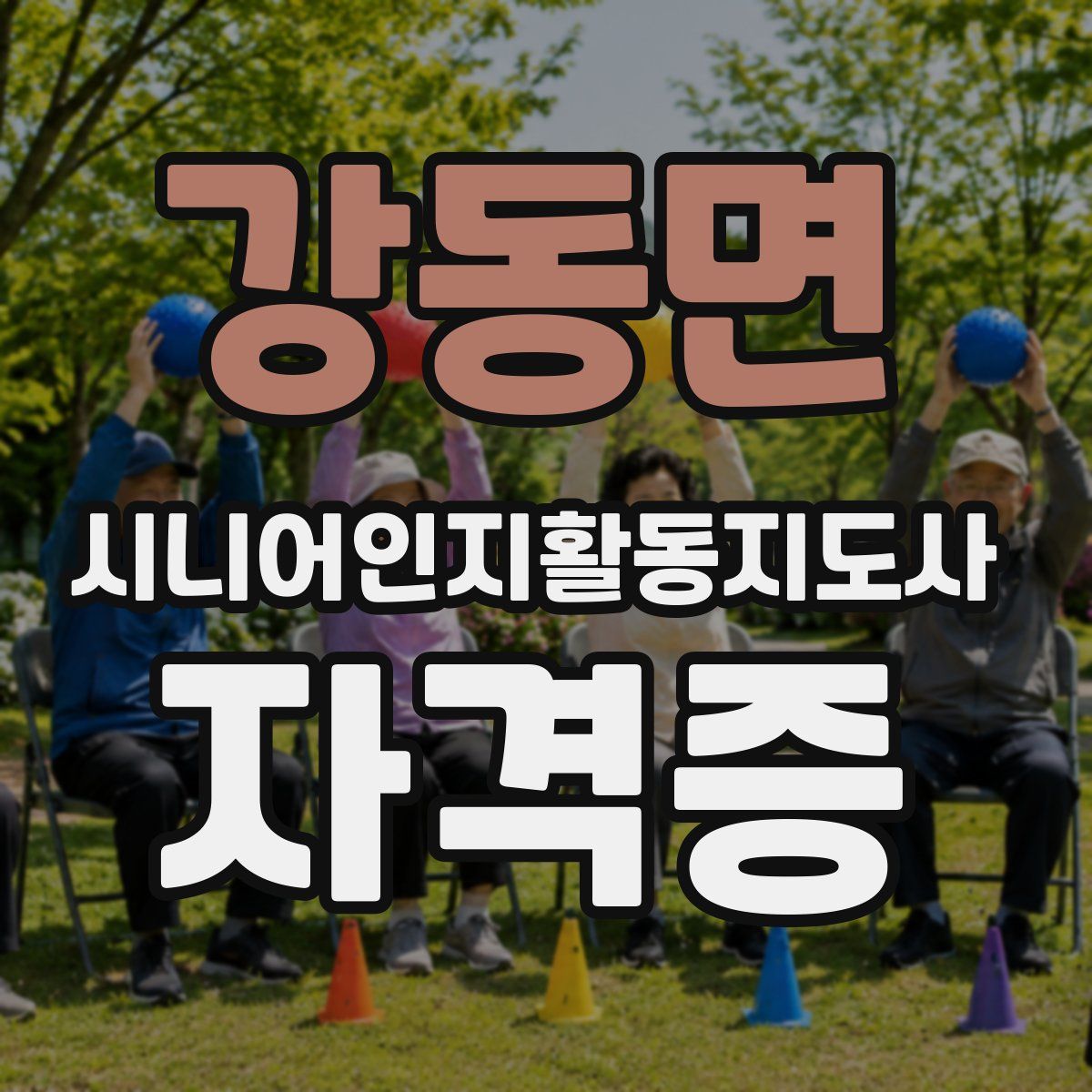 강동면 시니어인지활동지도사 자격증