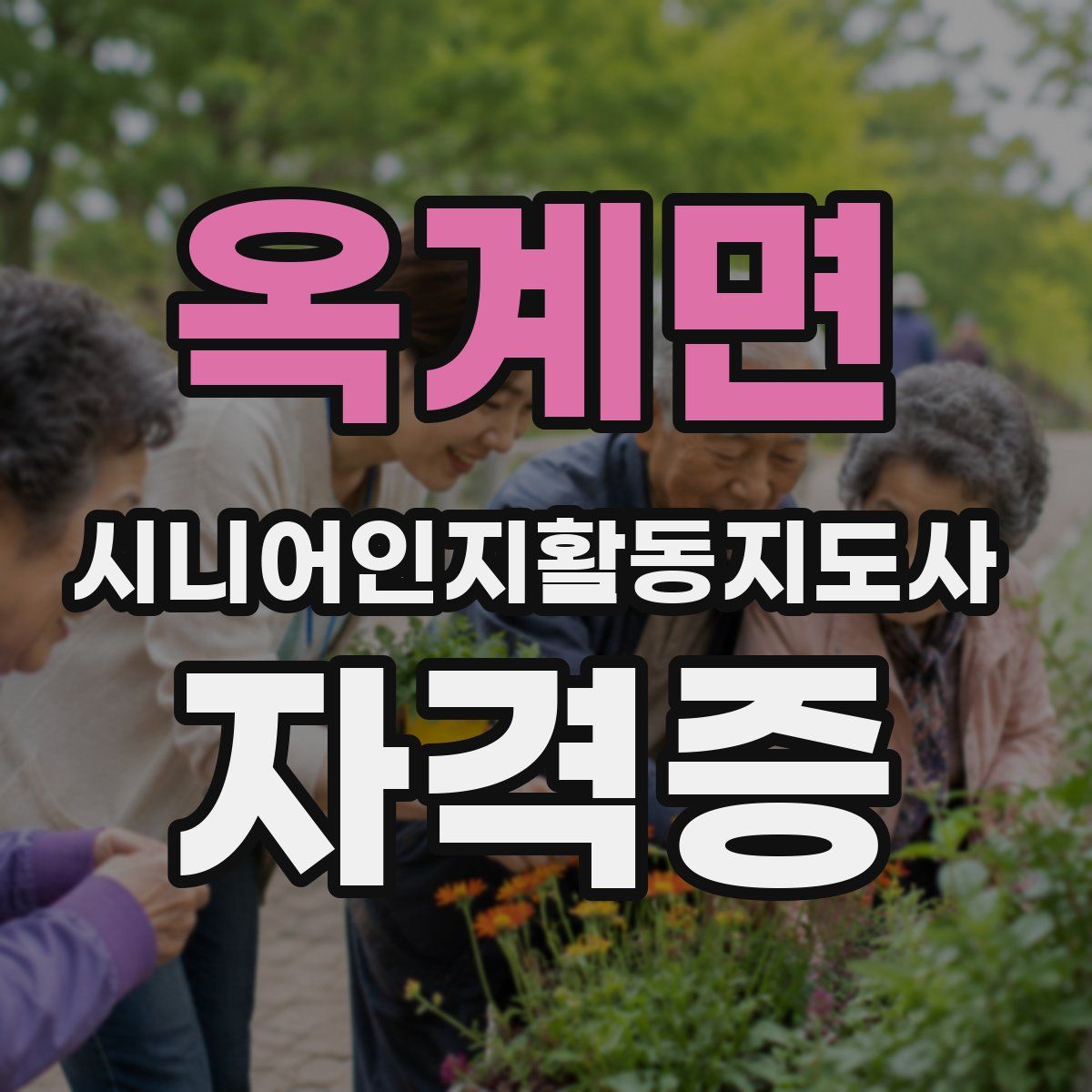 옥계면 시니어인지활동지도사 자격증