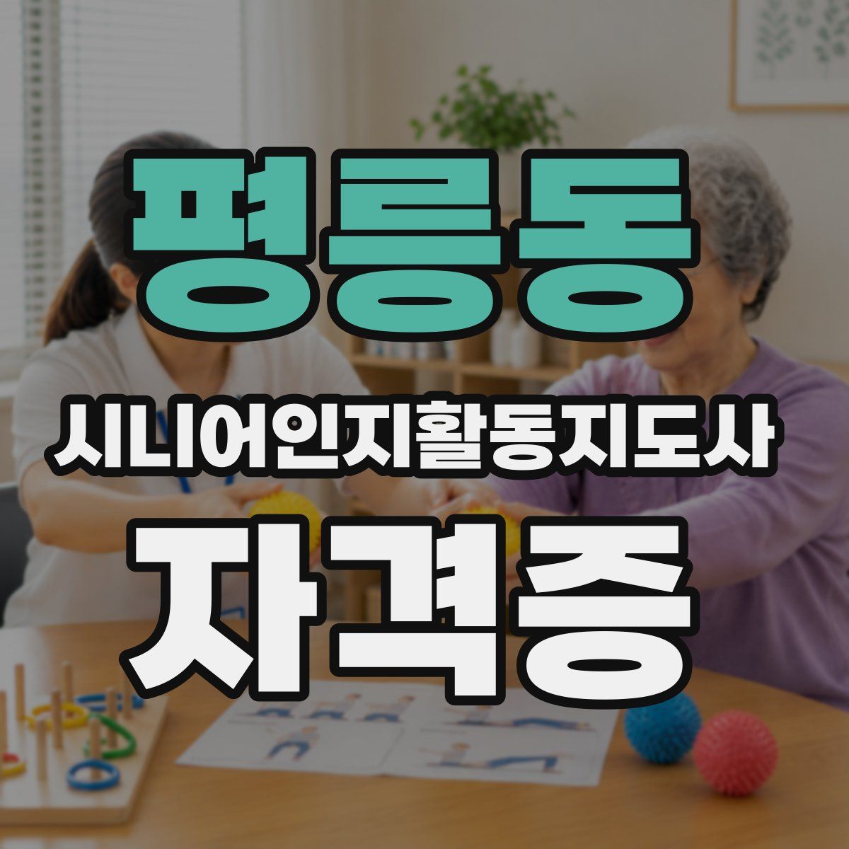 평릉동 시니어인지활동지도사 자격증