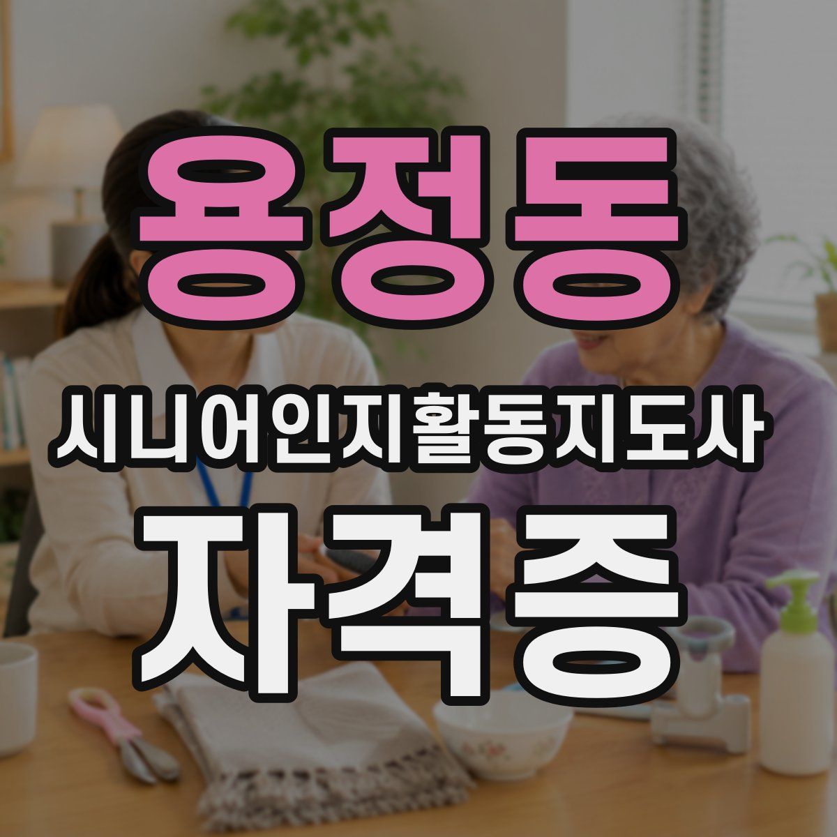 용정동 시니어인지활동지도사 자격증