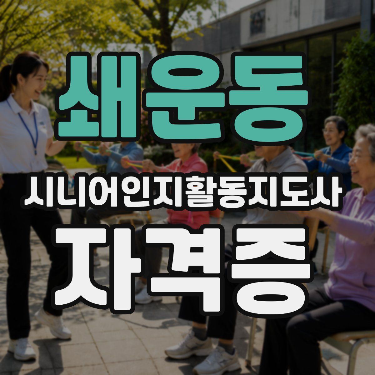쇄운동 시니어인지활동지도사 자격증