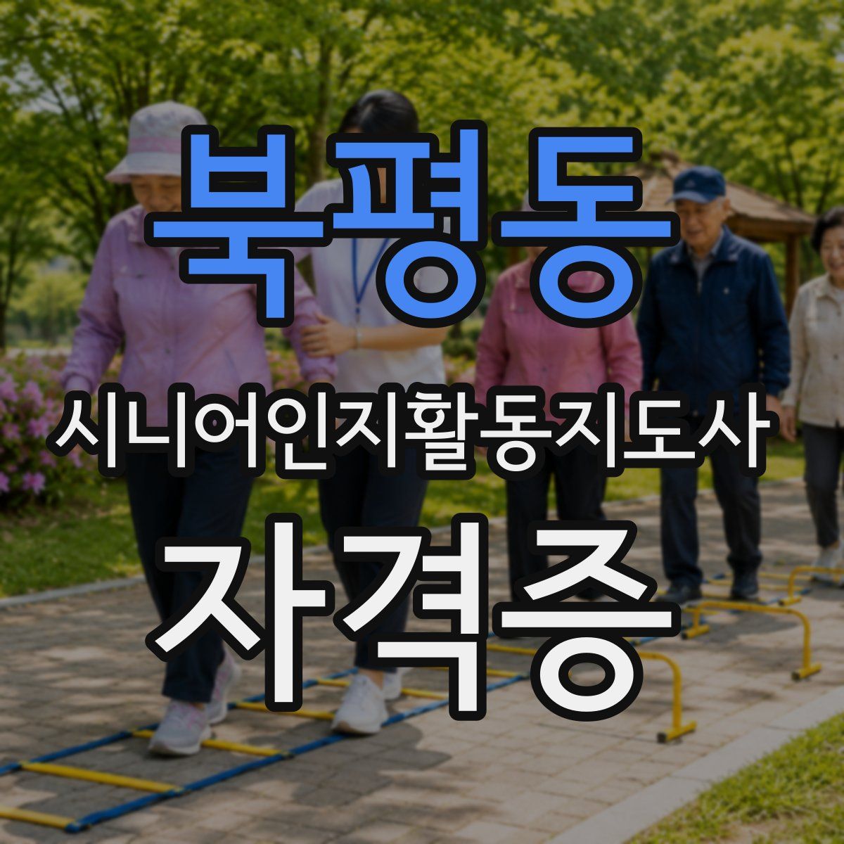 북평동 시니어인지활동지도사 자격증